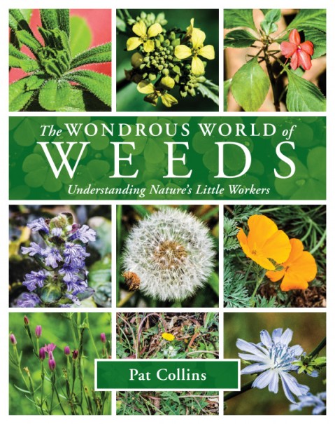 weed book