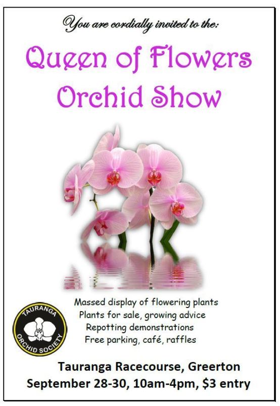 2018 orchid flyer